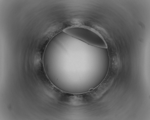 X0000113620320200909181445