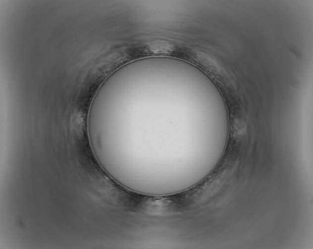 X0000113620321200909181445