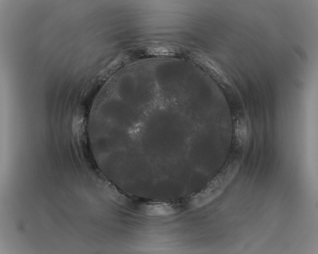 X0000113620322200909181445