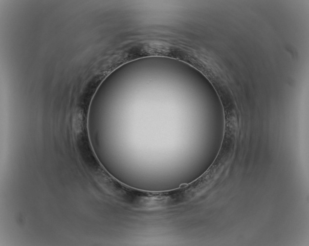 X0000113620323200909181445