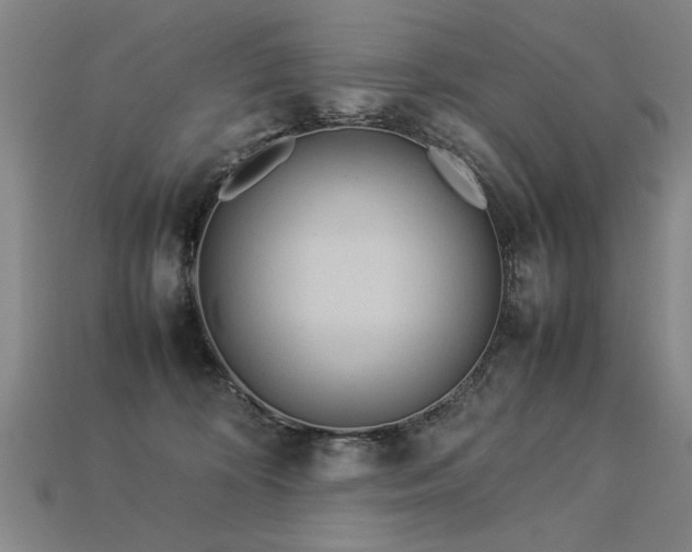 X0000113620324200909181445