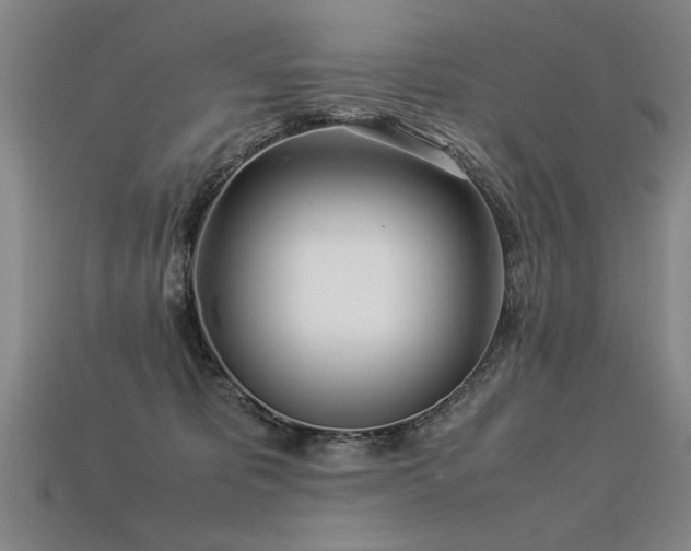 X0000113620325200909181445