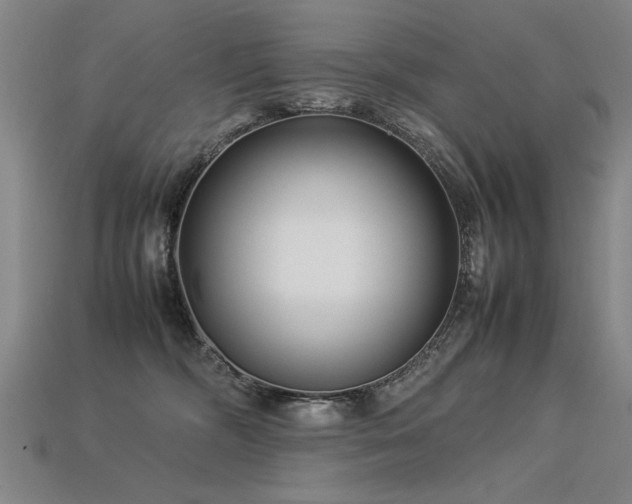 X0000113620326200909181445