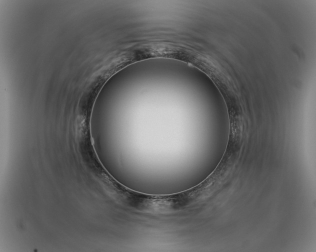 X0000113620327200909181445