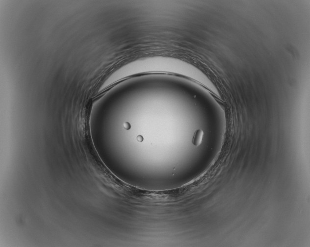 X0000113620328200909181445