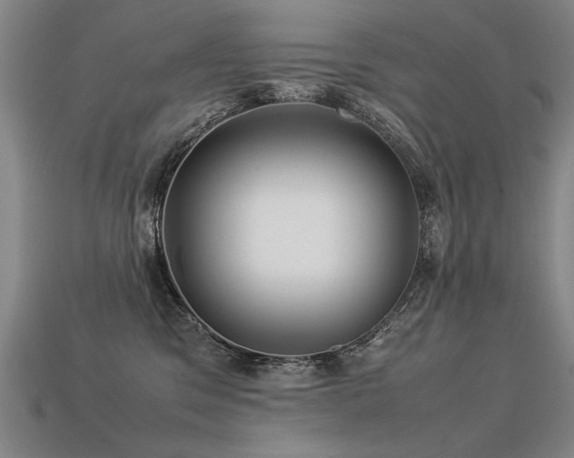 X0000113620329200909181445