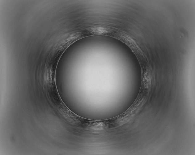 X0000113620330200909181445