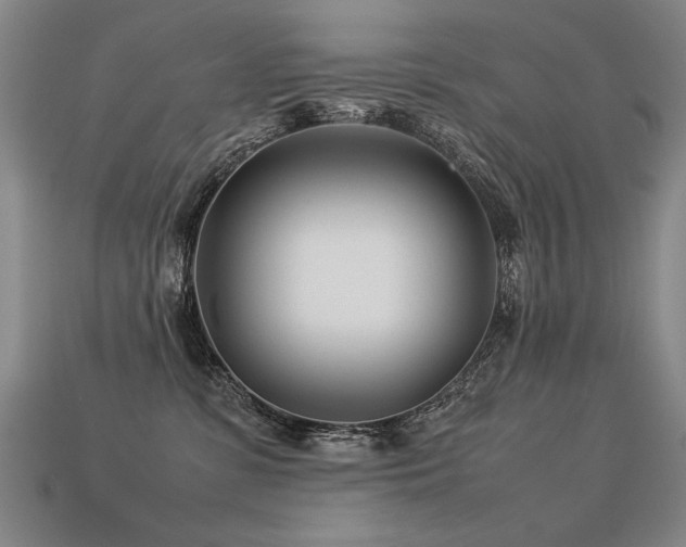 X0000113620331200909181445