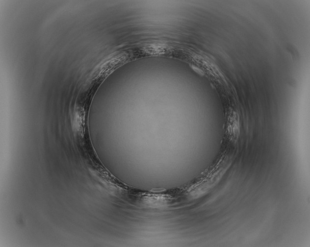 X0000113620332200909181445