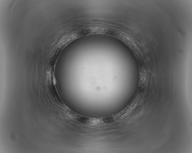 X0000113620333200909181445