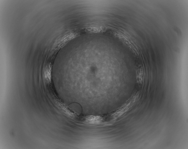 X0000113620334200909181445