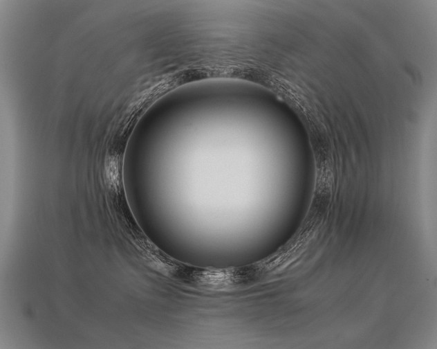 X0000113620335200909181445