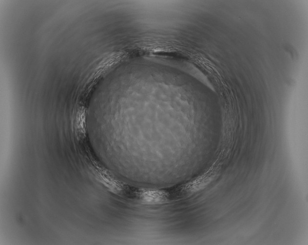 X0000113620336200909181445