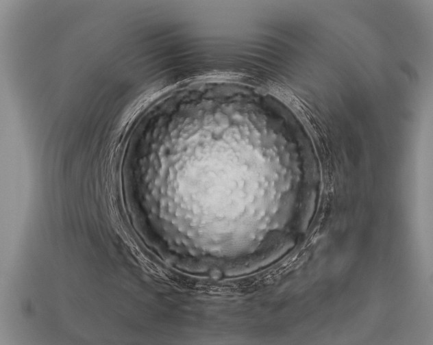 X0000113620337200909181444