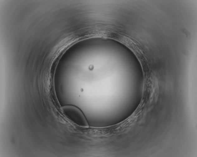 X0000113620338200909181444