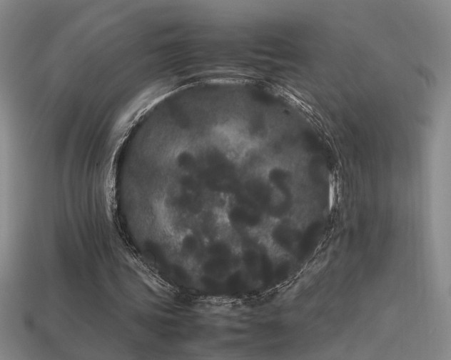 X0000113620339200909181444