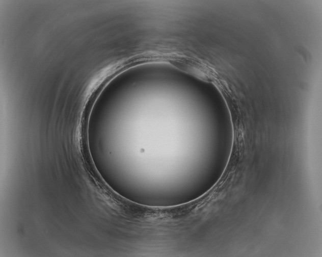 X0000113620340200909181444