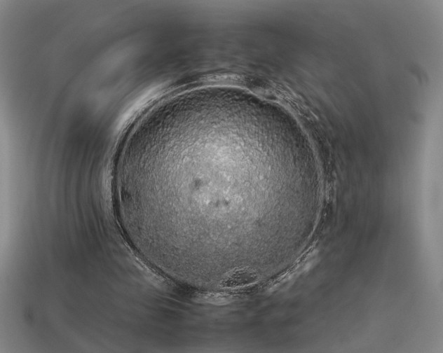 X0000113620341200909181444