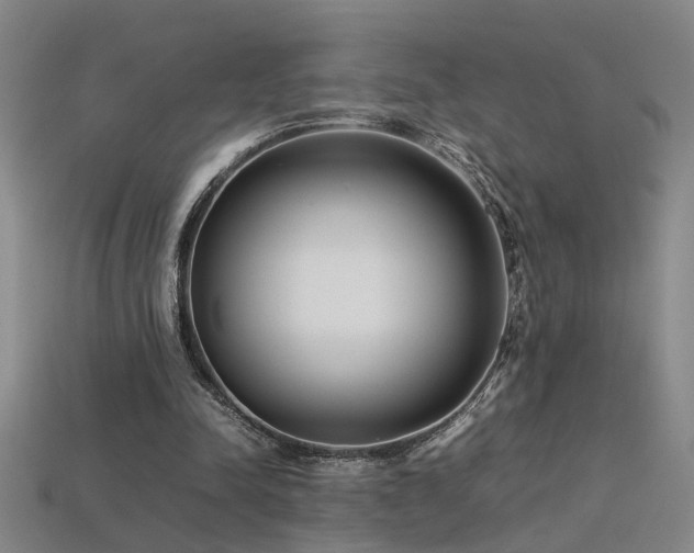 X0000113620342200909181444