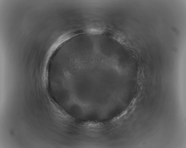 X0000113620343200909181444