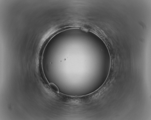 X0000113620344200909181444