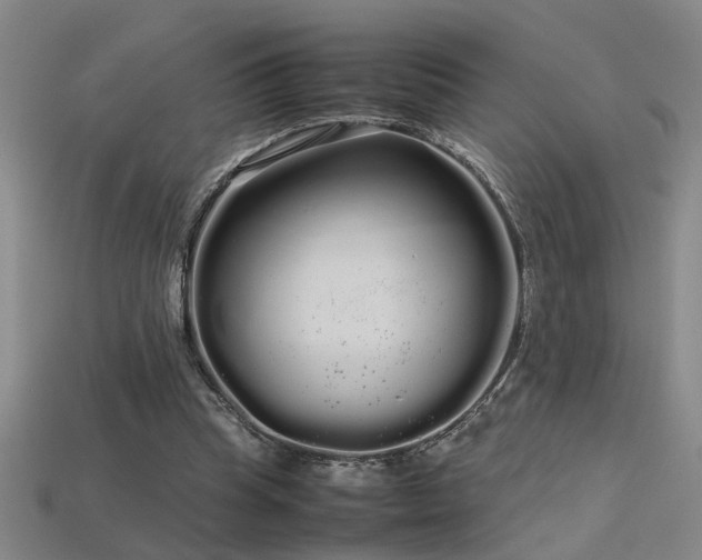 X0000113620345200909181444