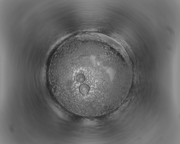 X0000113620346200909181444