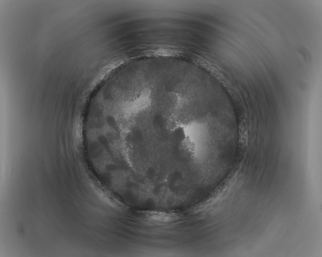 X0000113620347200909181444