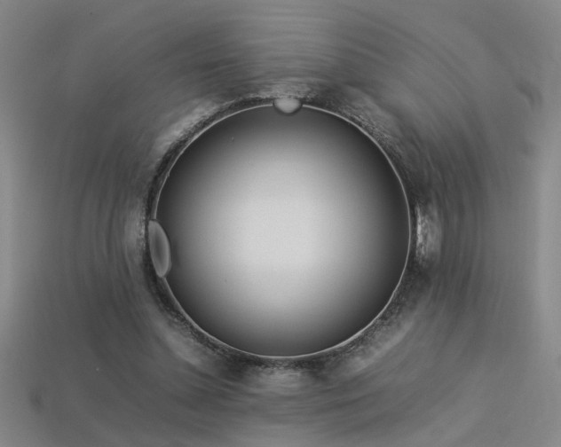 X0000113620348200909181444