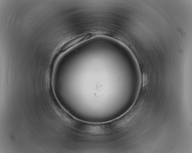 X0000113620349200909181444