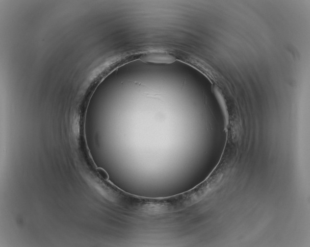 X0000113620350200909181444