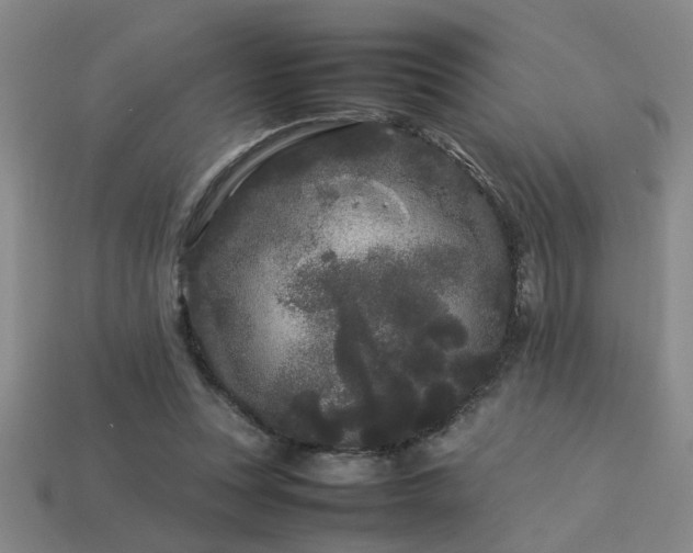 X0000113620351200909181444