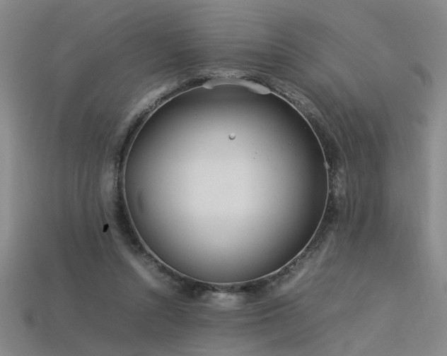 X0000113620352200909181444