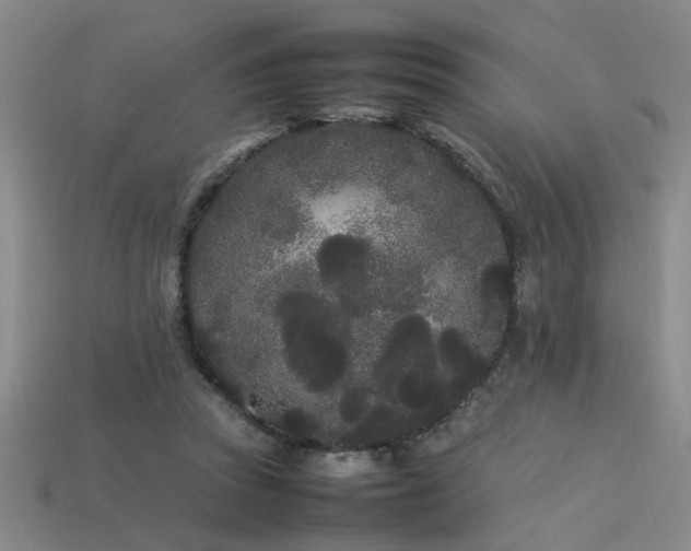 X0000113620353200909181444