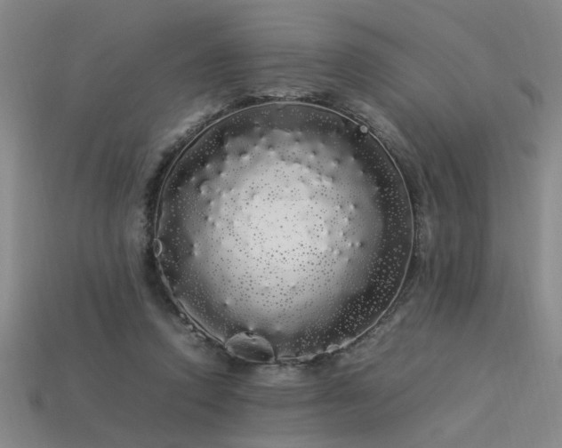 X0000113620354200909181444