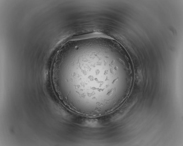 X0000113620355200909181444