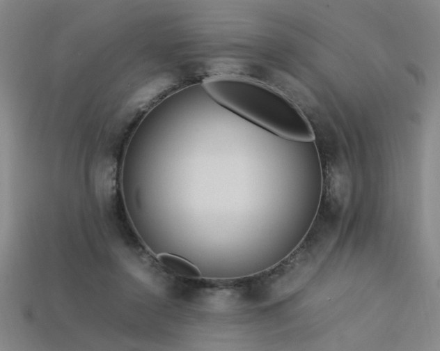 X0000113620356200909181444