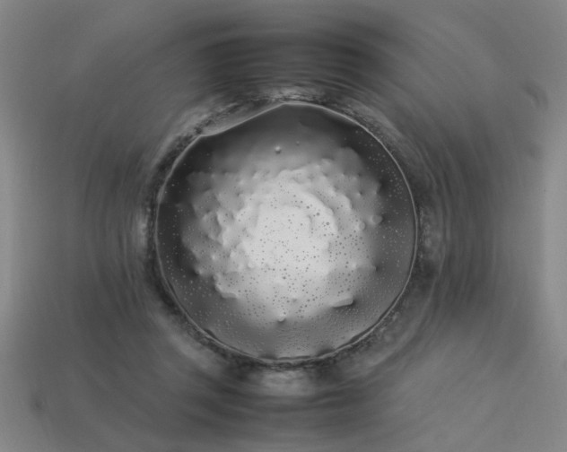 X0000113620357200909181444