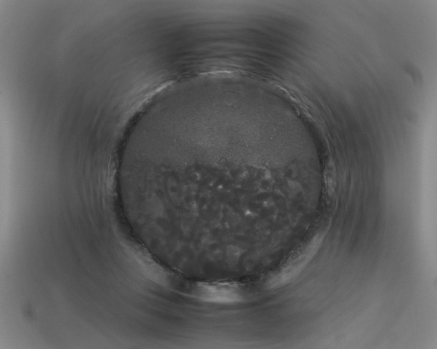 X0000113620359200909181444