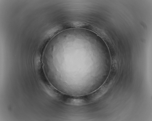 X0000113620360200909181444