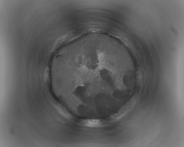 X0000113620361200909181444