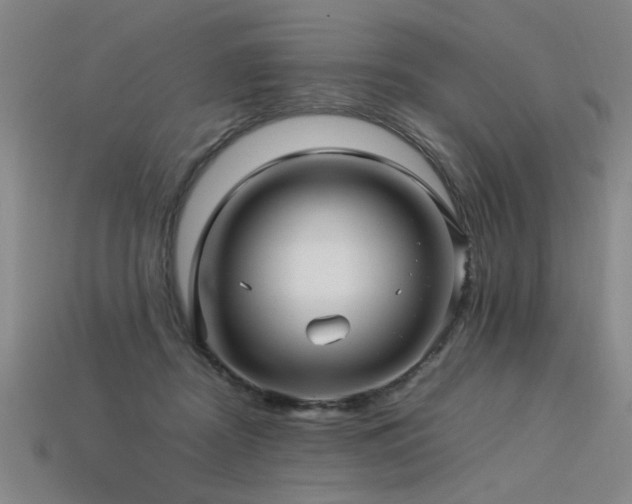 X0000113620362200909181444