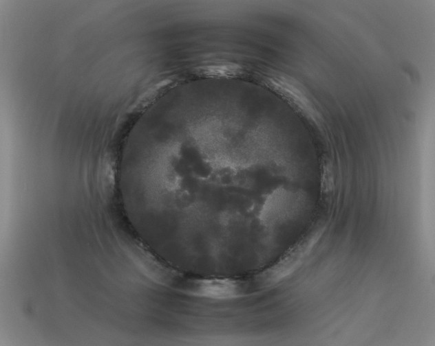 X0000113620363200909181444