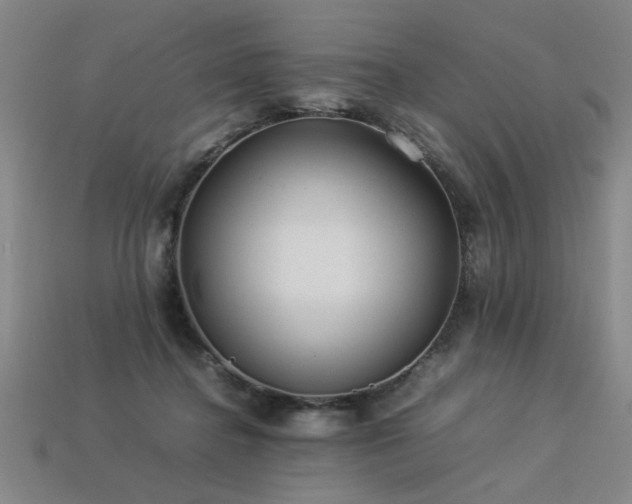 X0000113620364200909181444