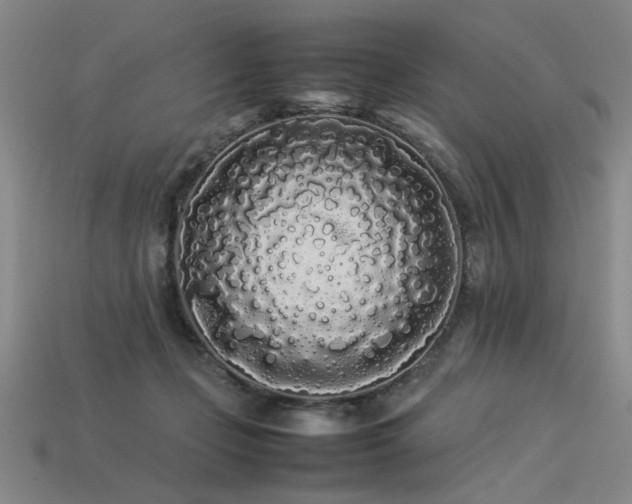 X0000113620365200909181444