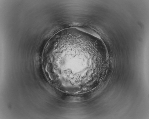 X0000113620366200909181444