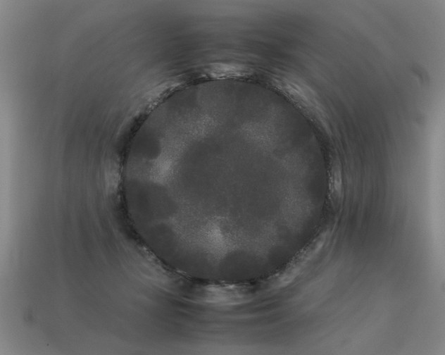 X0000113620367200909181444