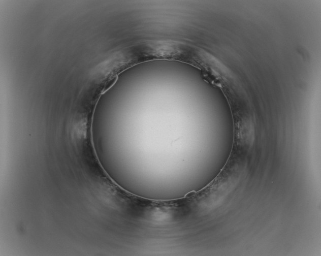 X0000113620368200909181444