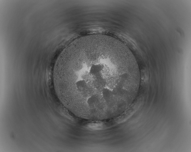 X0000113620369200909181444