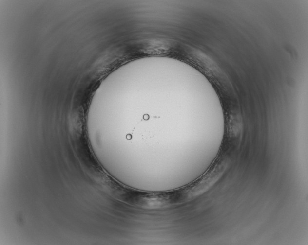 X0000113620370200909181444